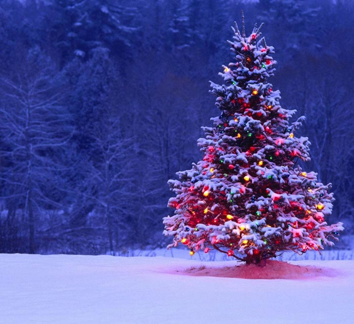 Spectacle et magie de noël